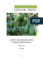 Costo de Produccion Del Cultivo de Palta Hass