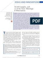 The Keystone, Scroll Complex, and Interdomal Area of The Nose: Histologic and Anatomical Observations