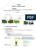 1º Eso - Unidad 8 - Reino Plantas - Moodle - 1 Parte