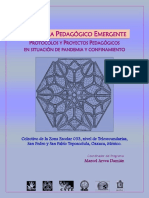 Programa Pedagógico Emergente Por Protocolos y Proyecto.