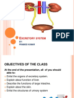 Xcretory System: BY: Pramod Kumar