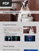 Biology 2 Lecture 9 - Urinary System