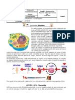 Guia 2 Ciencias Naturales Nuevo