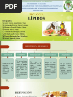 LIPIDOS