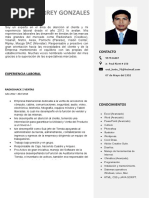 Curriculum Joel Monterrey Gonzales