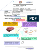 FICHA DE ACTIVIDAD Ciencia y Tecnologia