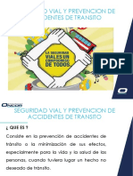 Seguridad Vial y Prevencion de Accidentes de Transito