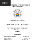 TMQ Project Report Customer Perception of Quality