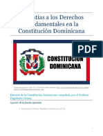 Garantías A Los Derechos Fundamentales en La Constitución Dominicana