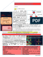 1 FISIOPATOLOGiA HEMaTICA Eritrocitosis y Anemias