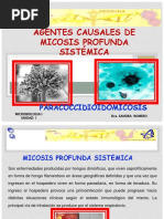 2da. CLASE TEMA 5 AGENTES CAUSALES DE MICOSIS PROFUNDA SISTÉMICA