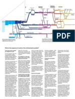 Criminal Justice System Flowchart