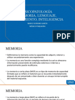 MEHU258 - U2 - T6 - Bases Biológicas, Semiología y Psicopatología de Memoria, Lenguaje, Pensamientoe Inteligencia