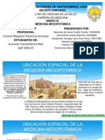 Medicina Mesopotamica.