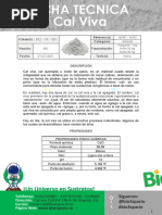 Ficha Tecnica Cal Viva