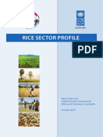 Rice Sector Profile