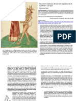 Una Breve Historia Del Uso de Espiritus
