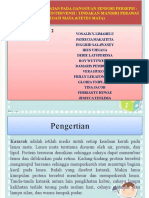 Presentasi Kel. 2 KMB III Askep Katarak