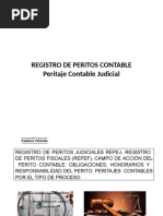 Registro Peritos Contables