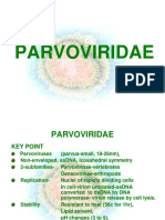 Parvoviridae