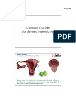 N6. PPT - Doenças e Saúde Do Sistema Reprodutor