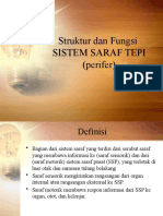 Sistem Saraf Tepi