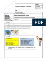 Actividad Ciencias Naturales Reino Vegetal