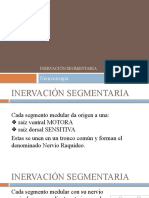 8 - Inervación Segmentaria