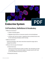 Endocrine System: 3.6 Functions, Definitions & Vocabulary