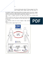 Qdoc - Tips - Patofisiologi Trikomoniasis Dikonversi