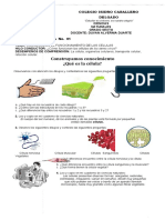 Guia 1 Modulo Celula 61