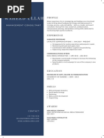 Blue and White Corporate Resume