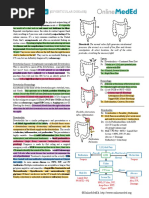 Gastroenterology - Diverticula