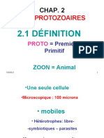 2-Cours Protozoaires 1