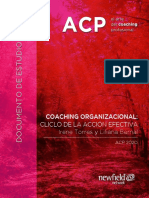 Coaching Organizacional Ciclo Accion Efectiva 2020