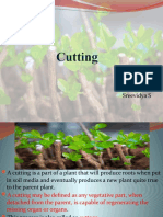 Cutting