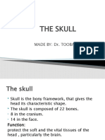 The Skull: Made By: Dr. Tooba Zia Uddin