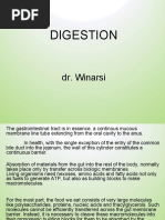 Digestion Slide