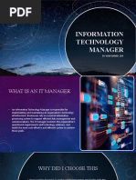 Information Technology Manager: by Wan Daniel 2K4