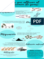 Infografía - Causas Que Alteran El Fondo Común de Genes