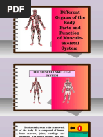 Science 6 - Q2 - L1 - Parts and Function of Musculo-Skeletal System