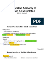 Comparative Anatomy of The Skin & Exoskeleton: BIO4141 Exercise 3