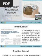 Biodigestores Aneróbios de Lodo