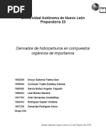 Derivados de Hidrocarburos en Compuestos Orgánicos de Importancia