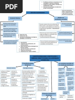 Mapa Conceptual