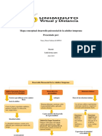 Mapa Conceptual Adultez