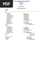 Standard Balance Sheet Adam