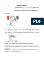 EMBRIOLOGI JANTUNG (Case 1)