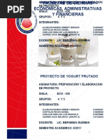 PROYECTO YOGURT FRUTADO Completo