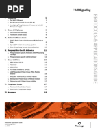 Cell Signaling: Protocols & Applications Guide Rev. 9/06